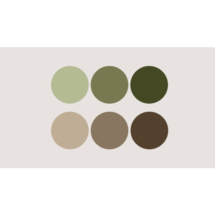 the color palette for guests on our big day