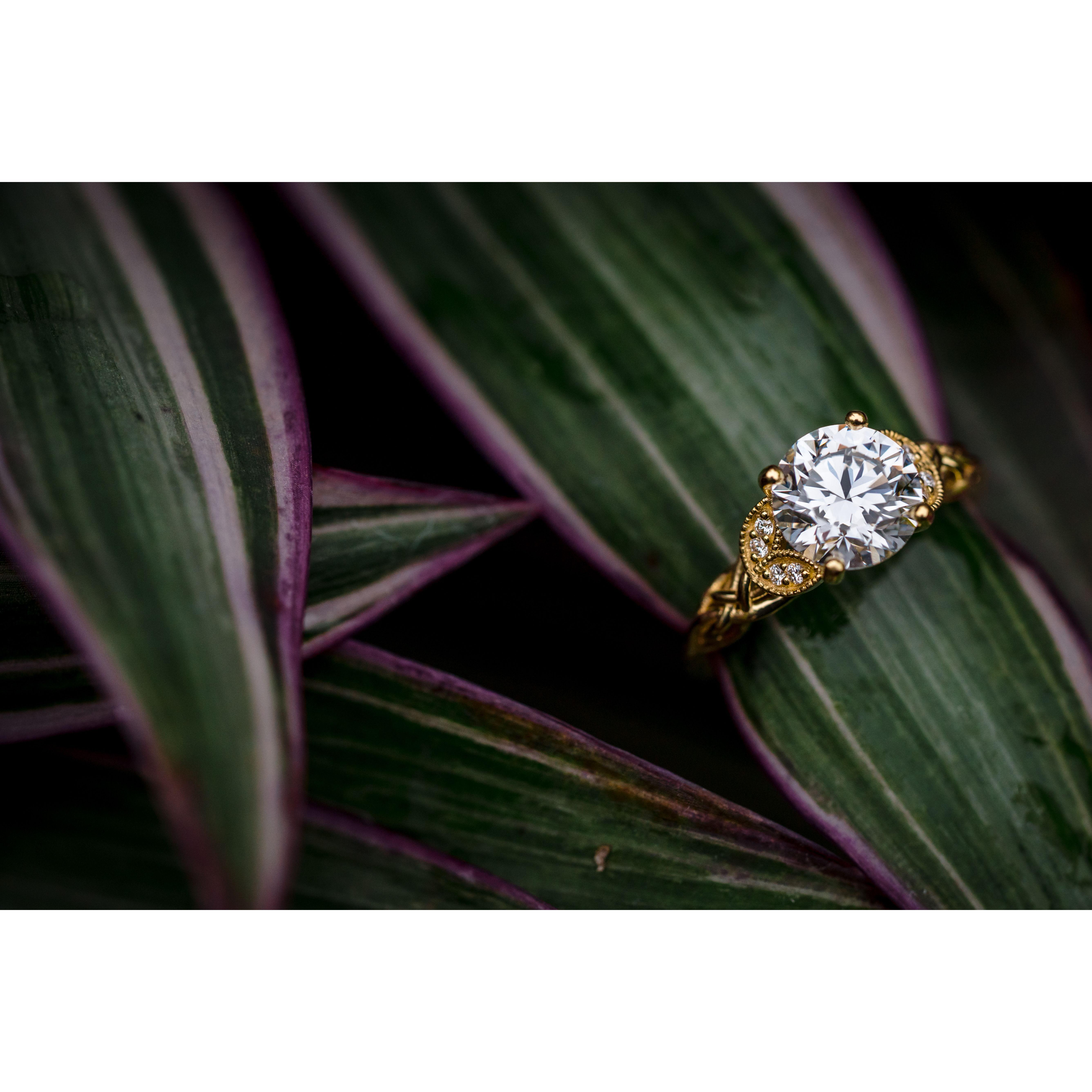 Photo Credit: Brittany Diliberto https://www.beetwosweet.com/