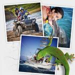 Tours off property to book!