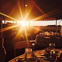 The Wedding Website of Stephanie Stade and Sean Townsend