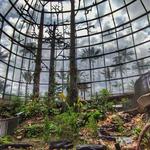 Jardín Botánico de Bogotá José Celestino Mutis