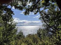 Point Whitehorn