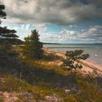 Maple Bay Natural Area