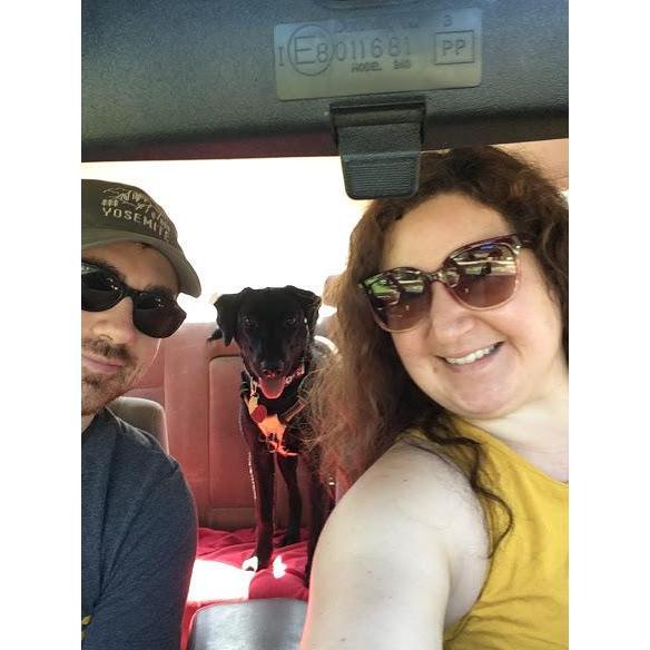 We loved our Black Lab Elsie so much, that we decided to get a Black Lab Puppy! Our little Lacy!