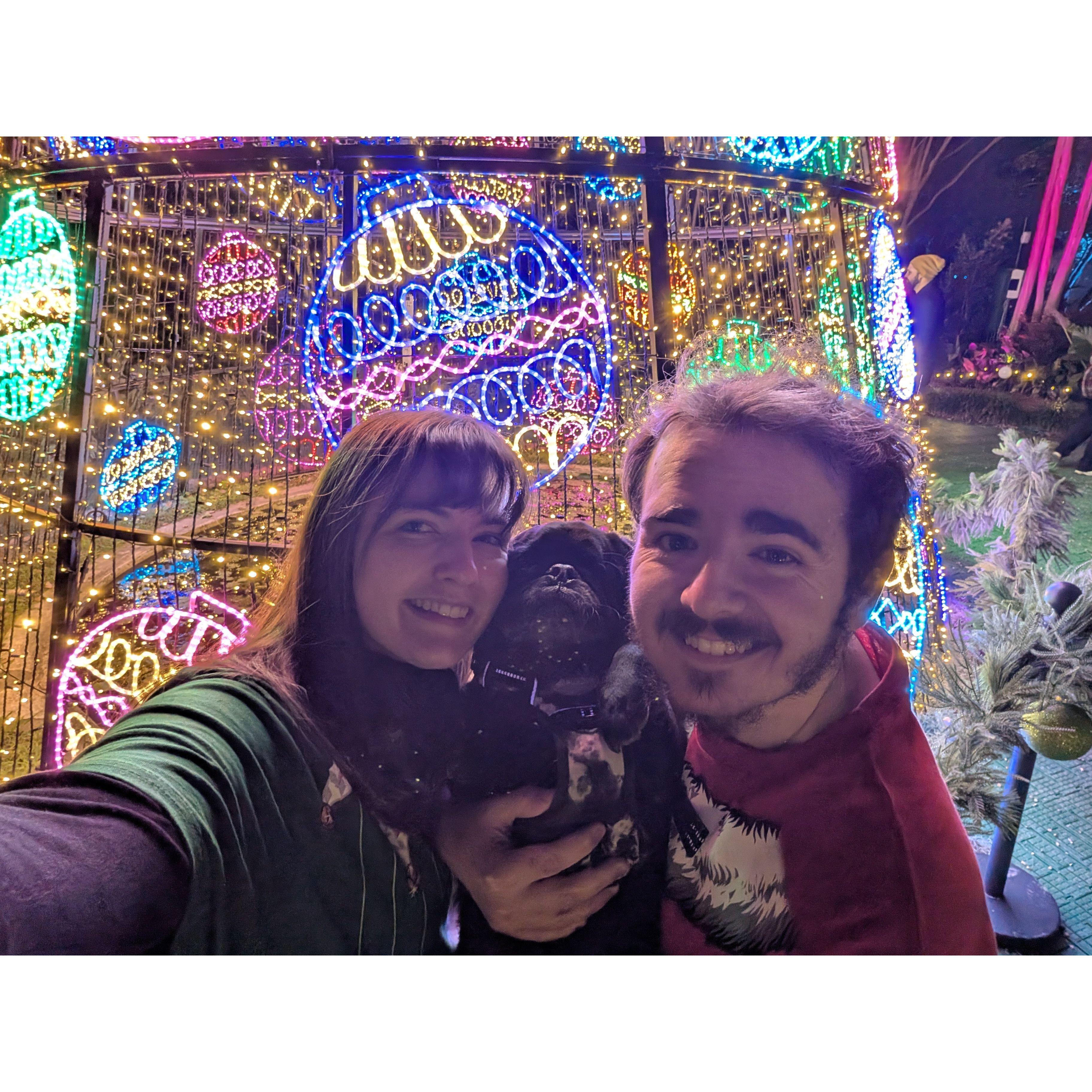 Christmas Lights 2024