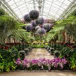 Longwood Gardens
