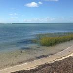 Monomoy National Wildlife Refuge