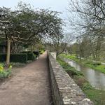 Old city wall- Oude Stadswal