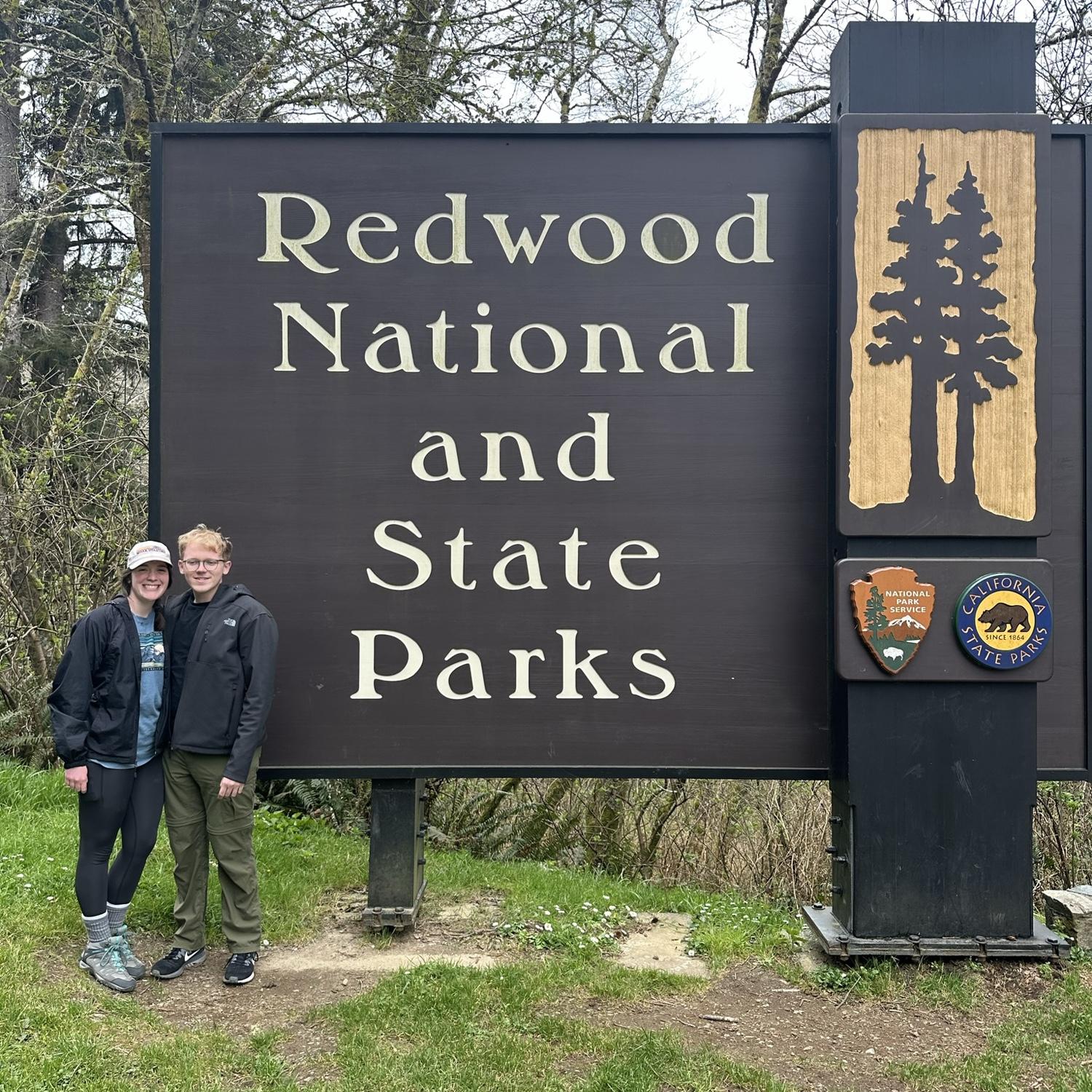 Redwoods Nat'l Park , 2024.