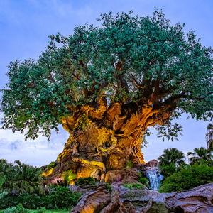 Animal Kingdom Tickets