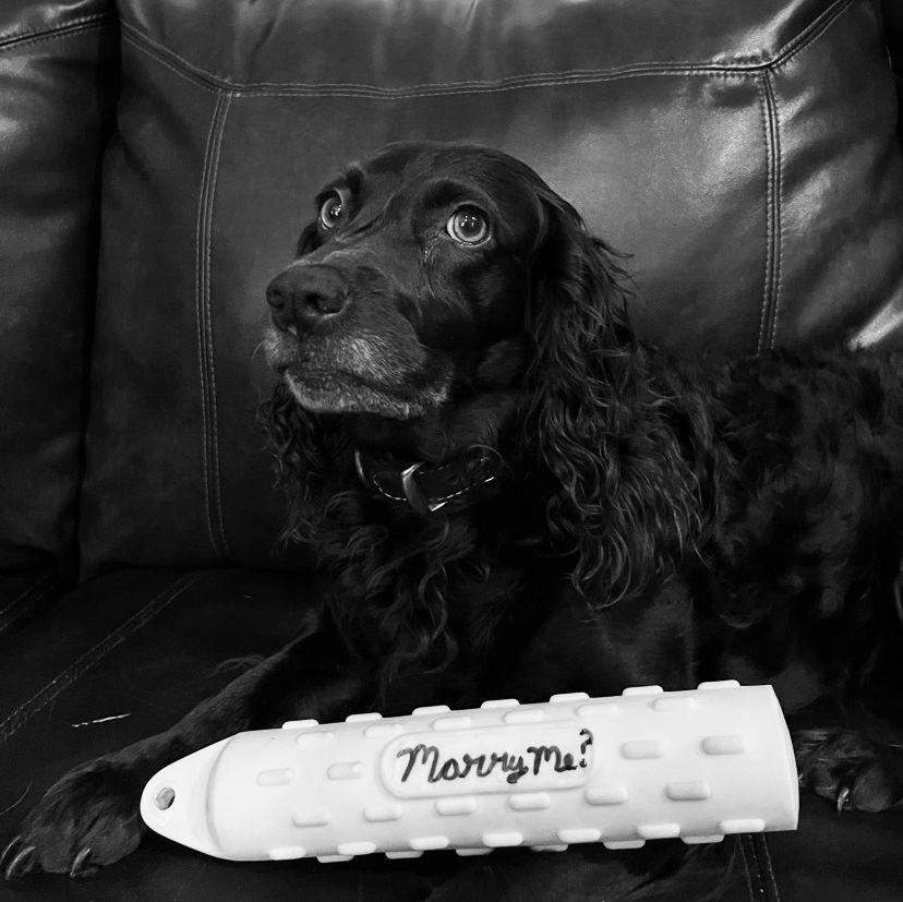 Scout posing with her proposal prop