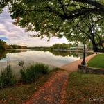 Delaware Park