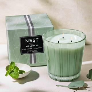 Wellness Wild Mint & Eucalyptus 3-Wick Candle