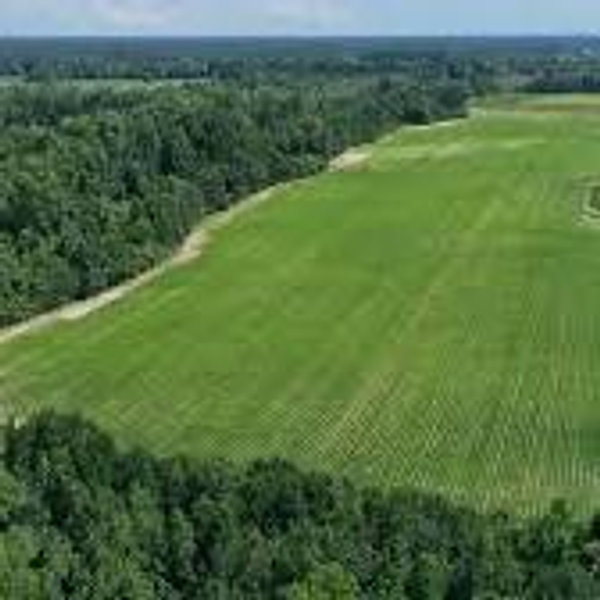 Our Land Fund