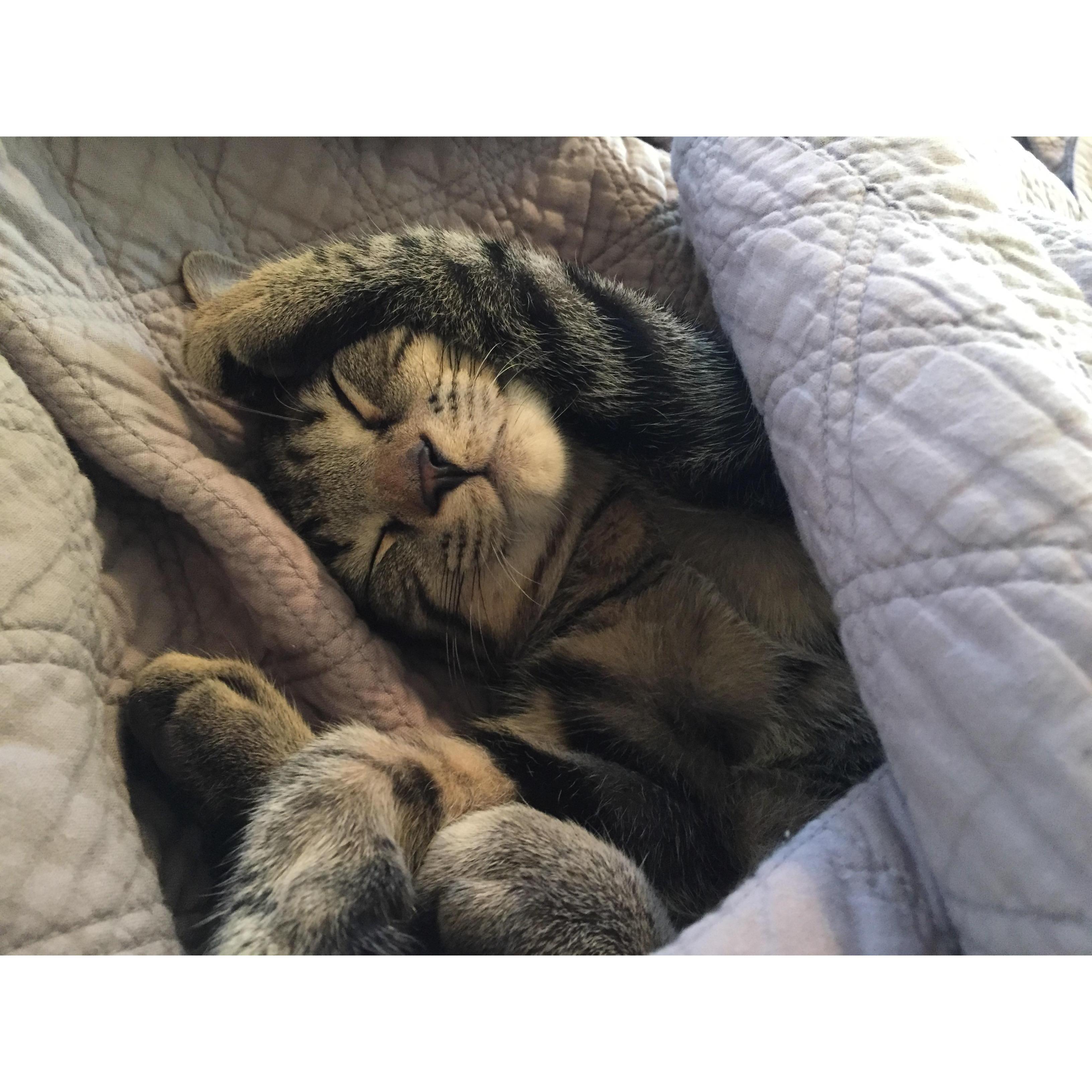 Dr. Scully sleeping (he was still very little in this picture).