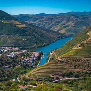 Wine and Olive Oil Tour in the Douro Valley