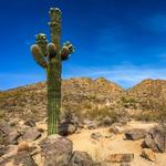 Camelback Mountain
