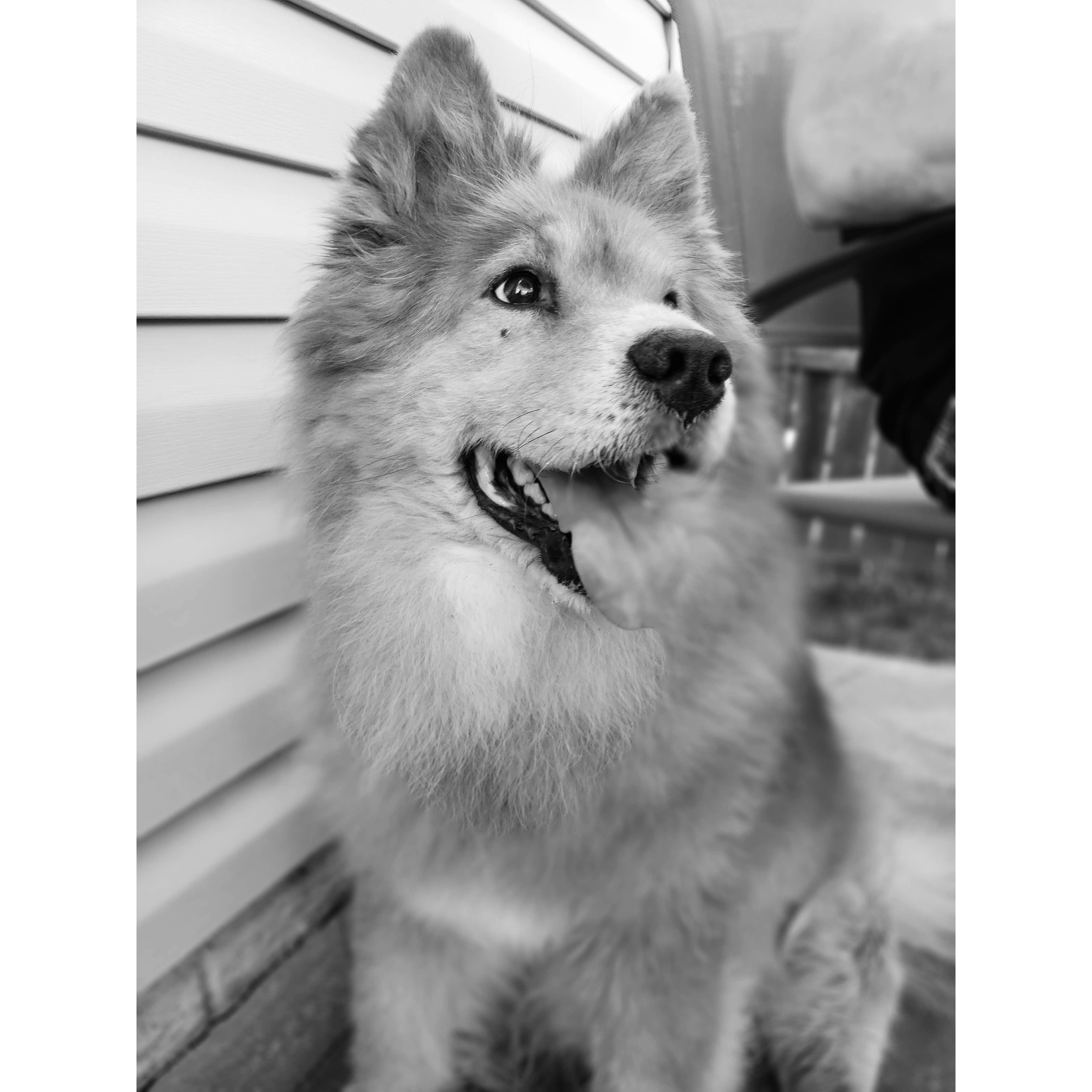 Kota