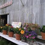 Beaumont Farm