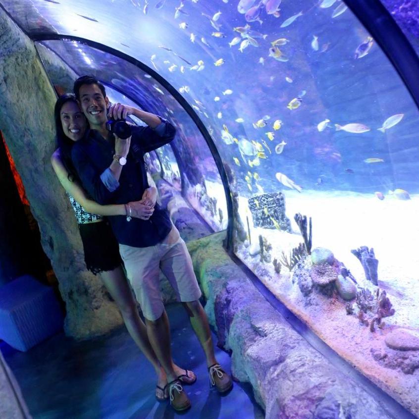 Valentines day at the Orlando Aquarium