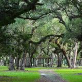 Matheson Hammock Park