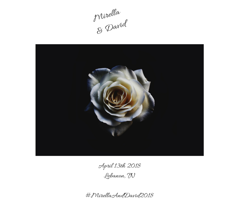 The Wedding Website of Mirella Medrano and David Mogilnicki