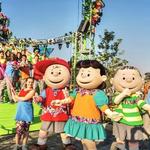 Knott's Berry Farm Theme Park