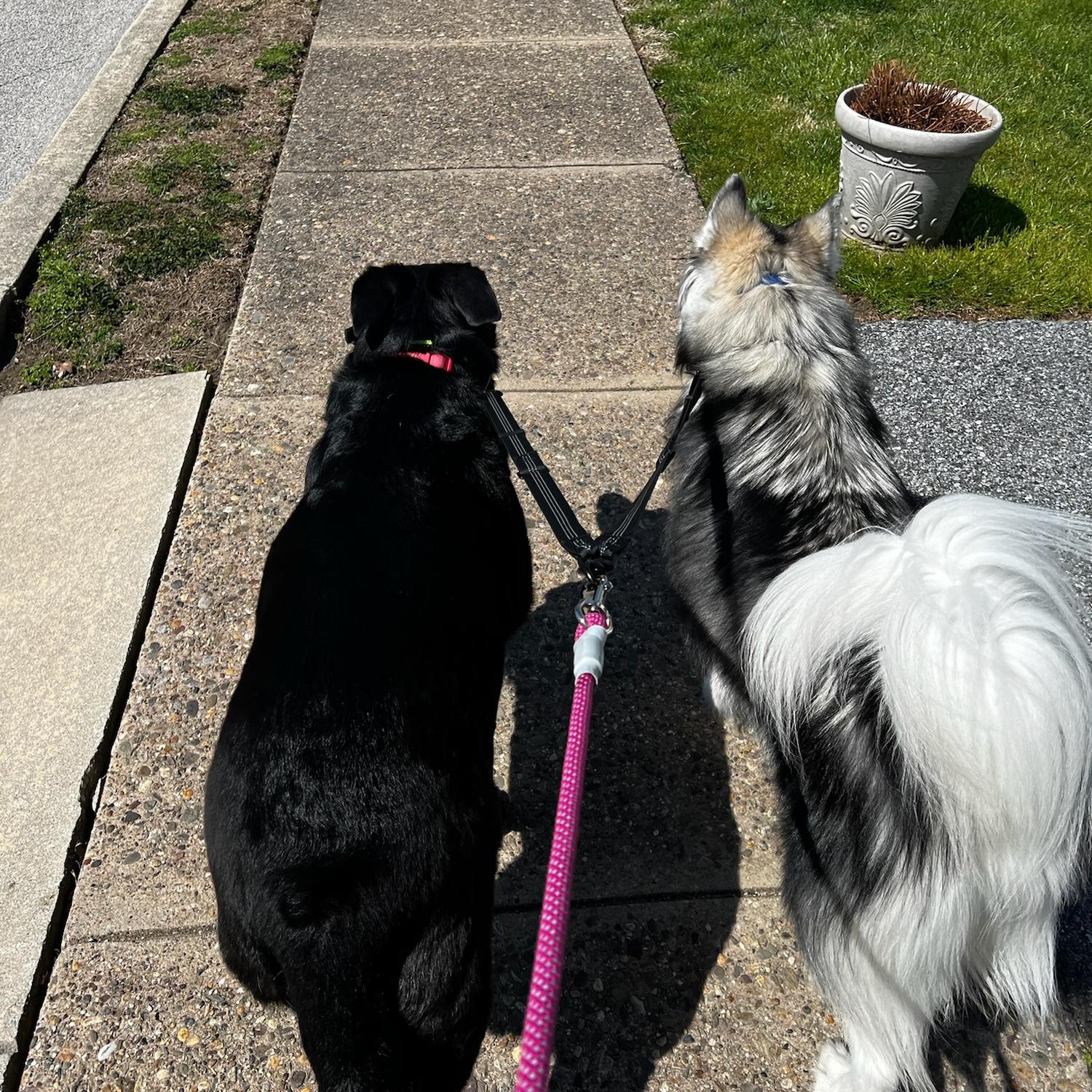 Our girls, Heidi and Samantha!