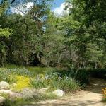 California Botanic Gardens