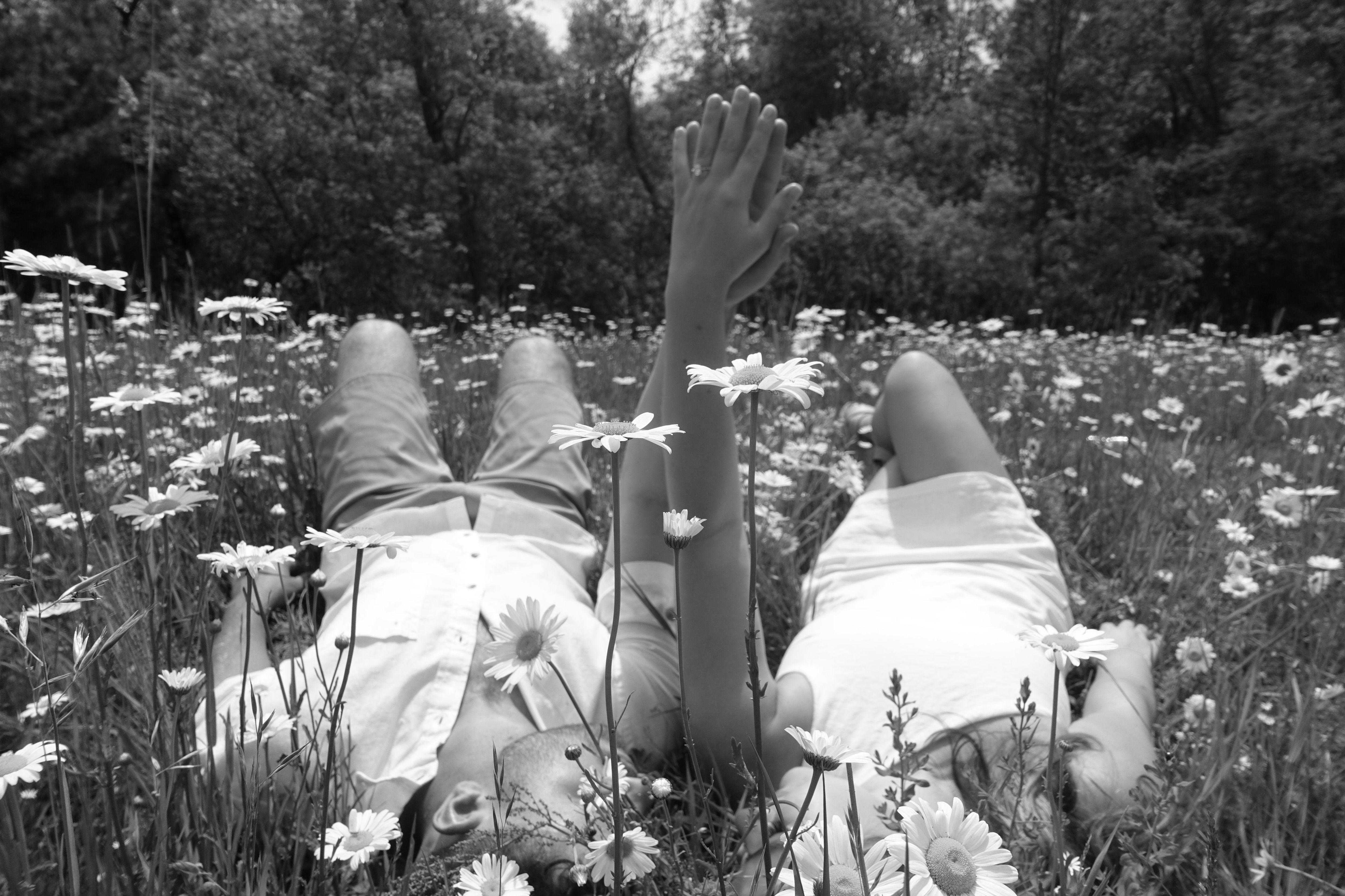 The Wedding Website of Jada Lasater and Joshua Plante