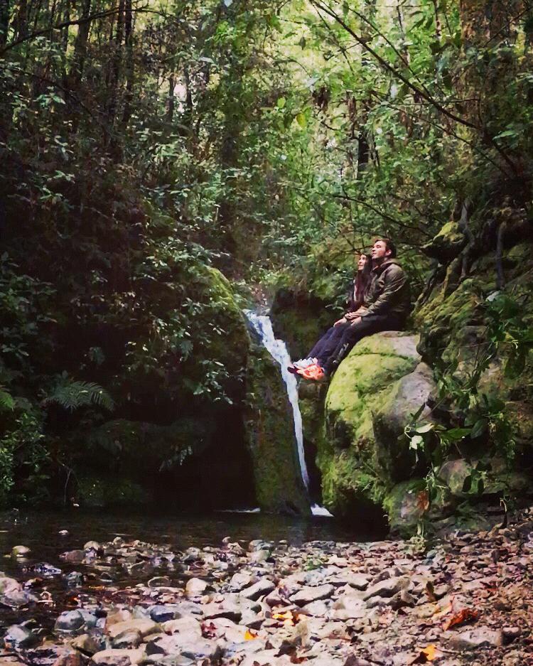 Pelorus Bridge, Nelson Lakes, New Zealand