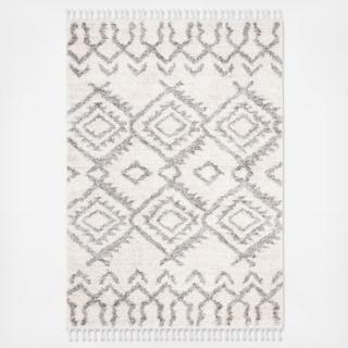 Berber Fringe Shag Martina Trellis Area Rug