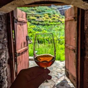 Wine Tasting in Madeira for 2