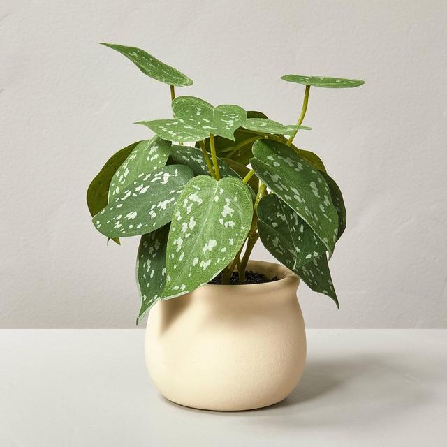 6" Mini Faux Satin Pothos Plant - Hearth & Hand™ with Magnolia