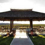 Eberle Winery