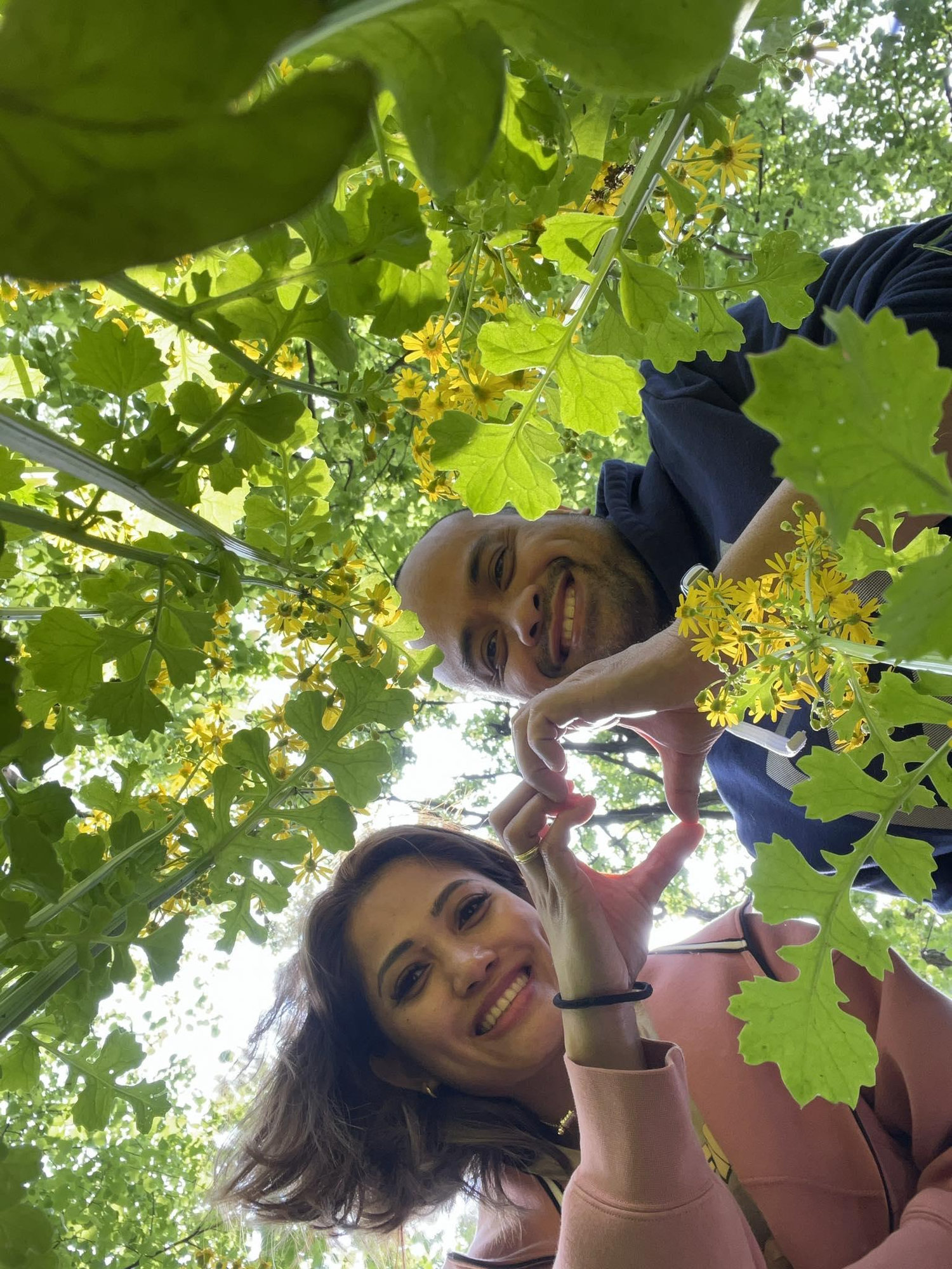 The Wedding Website of Crystal Rabago and Ian Verano