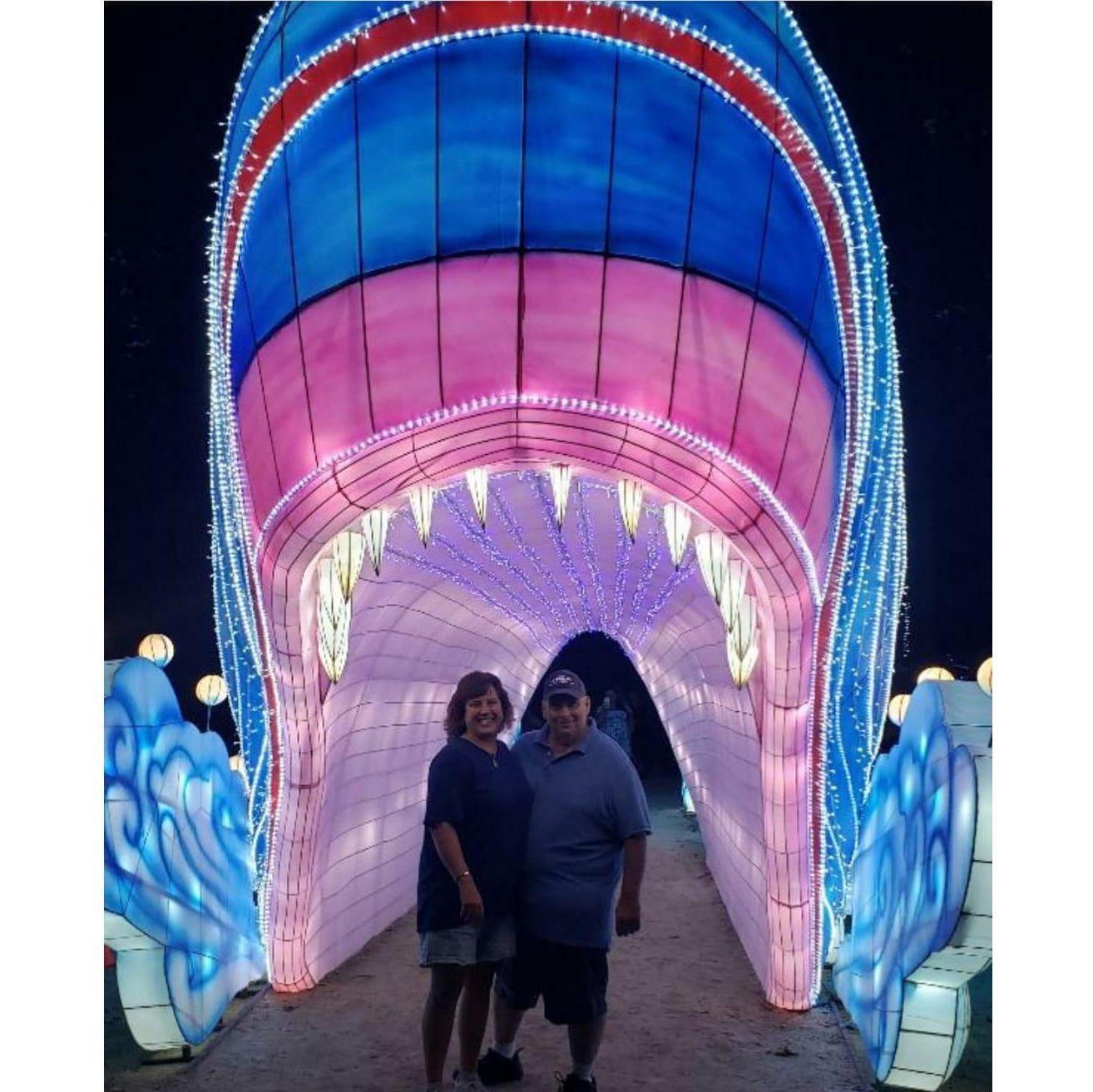 Bucket Adventure - Chinese Lanterns, Southwick Zoo