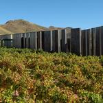 Visit Local Wineries