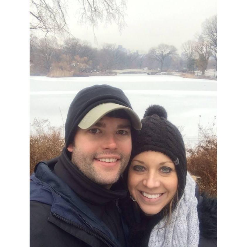 Central Park - 2014.