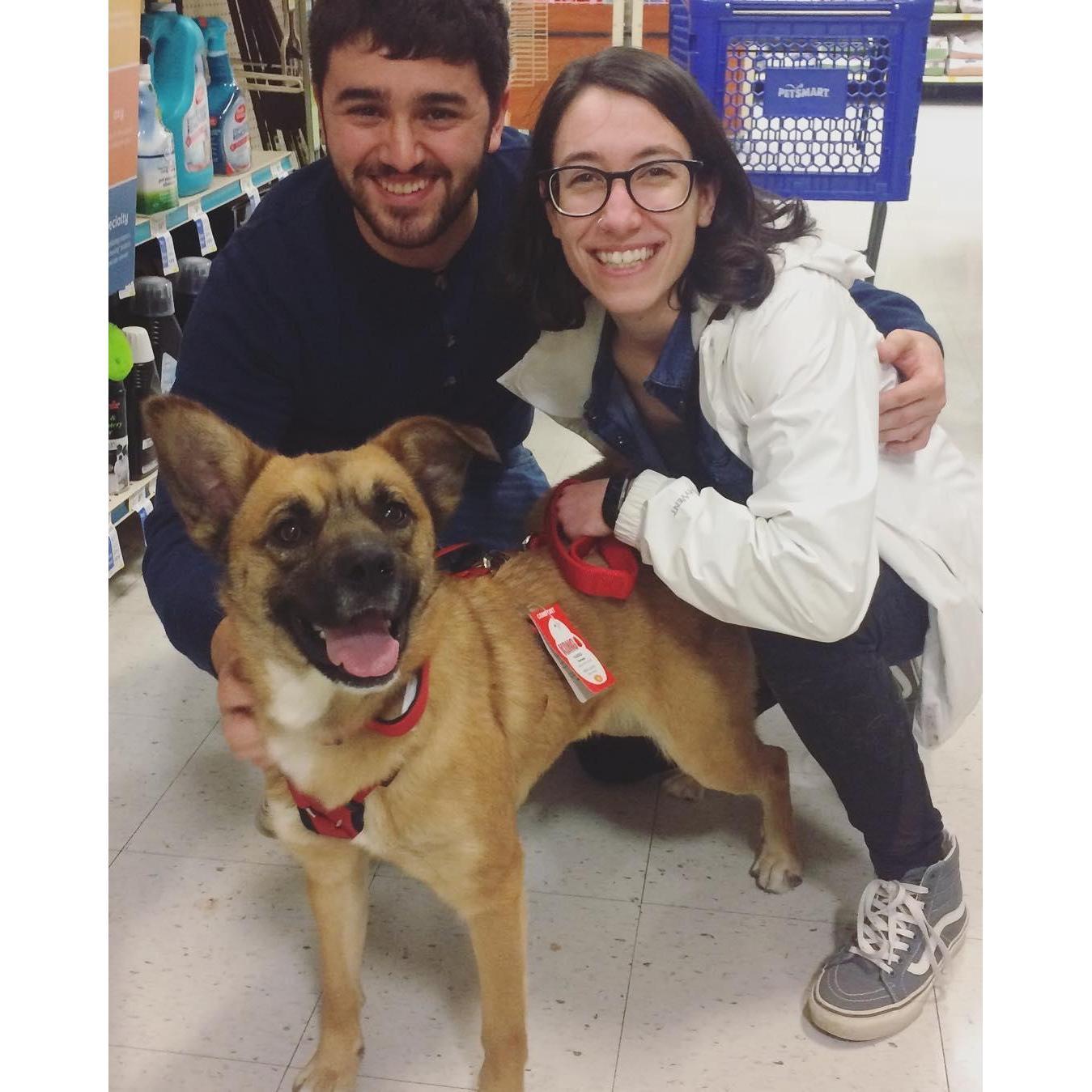 Sadie's "gotcha day" - March 2019 Adoption <3