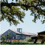 Treaty Oak Distilling