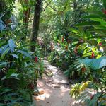 Carambola Gardens