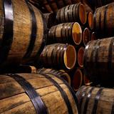 Bourbon Experiences
