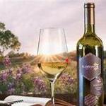 Florvino Flower Winery