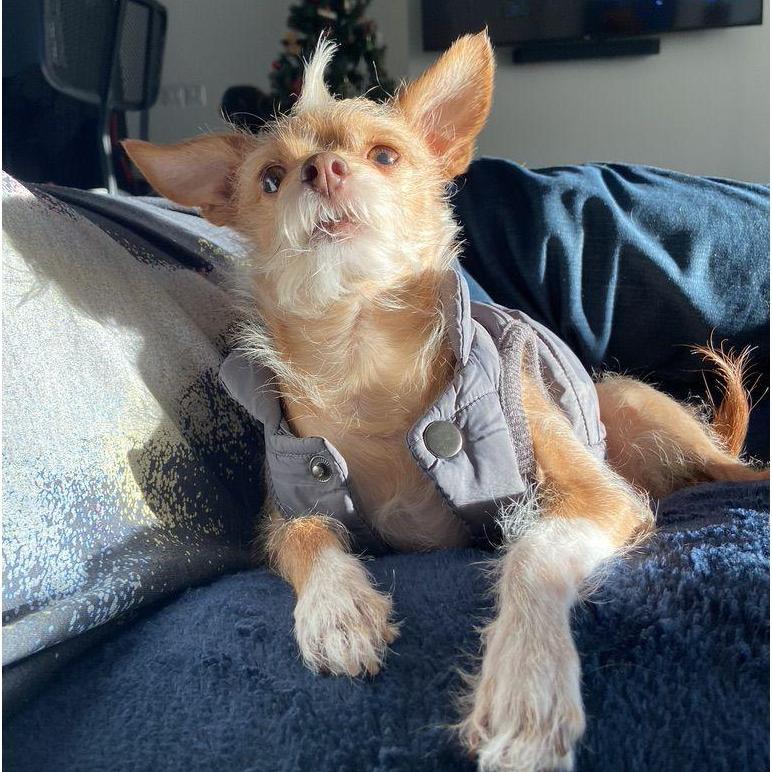 Our baby boy