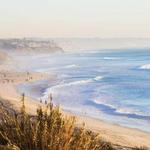 Carlsbad State Beach
