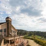 Bluestone Vineyard