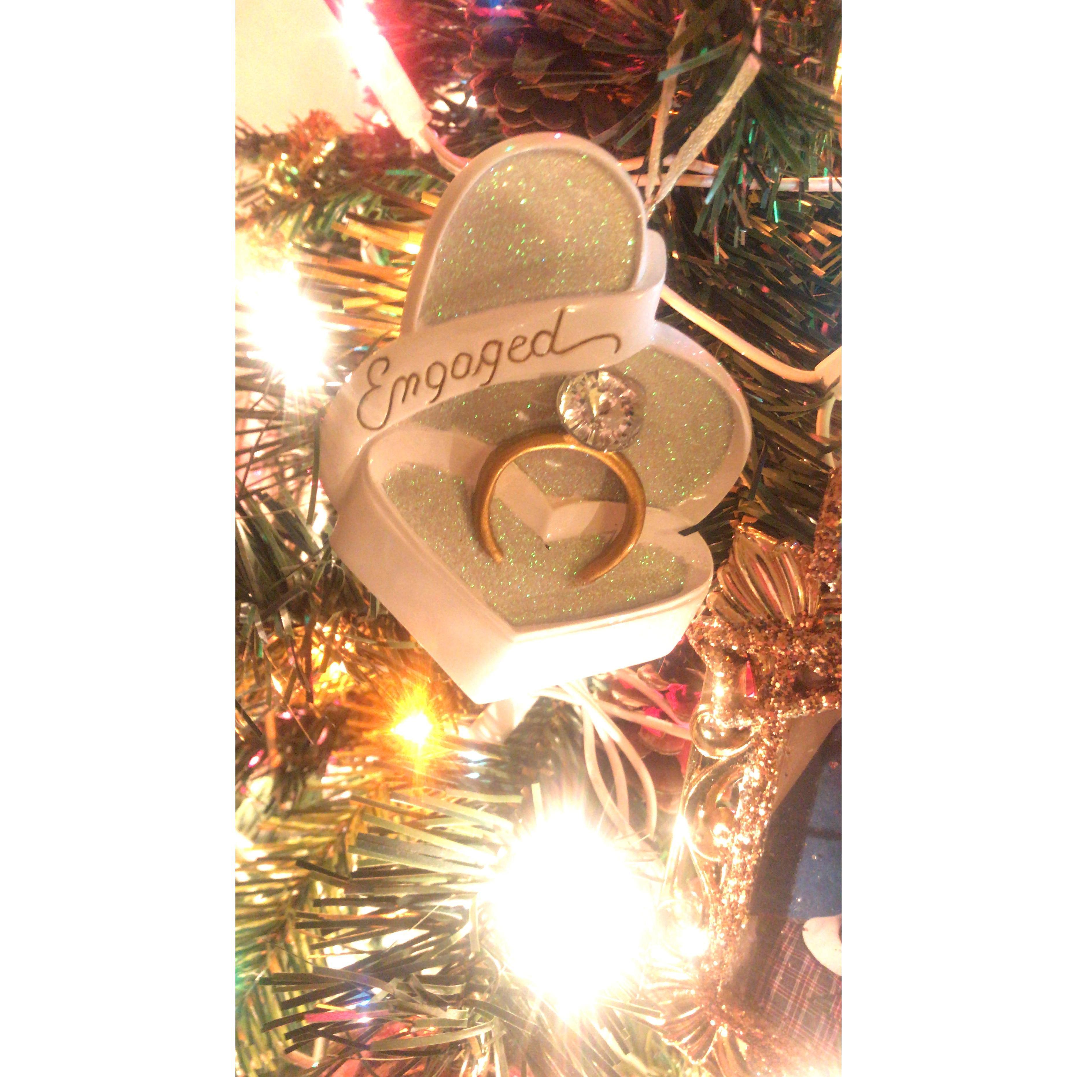 Best Ornament on our Tree Christmas 2019