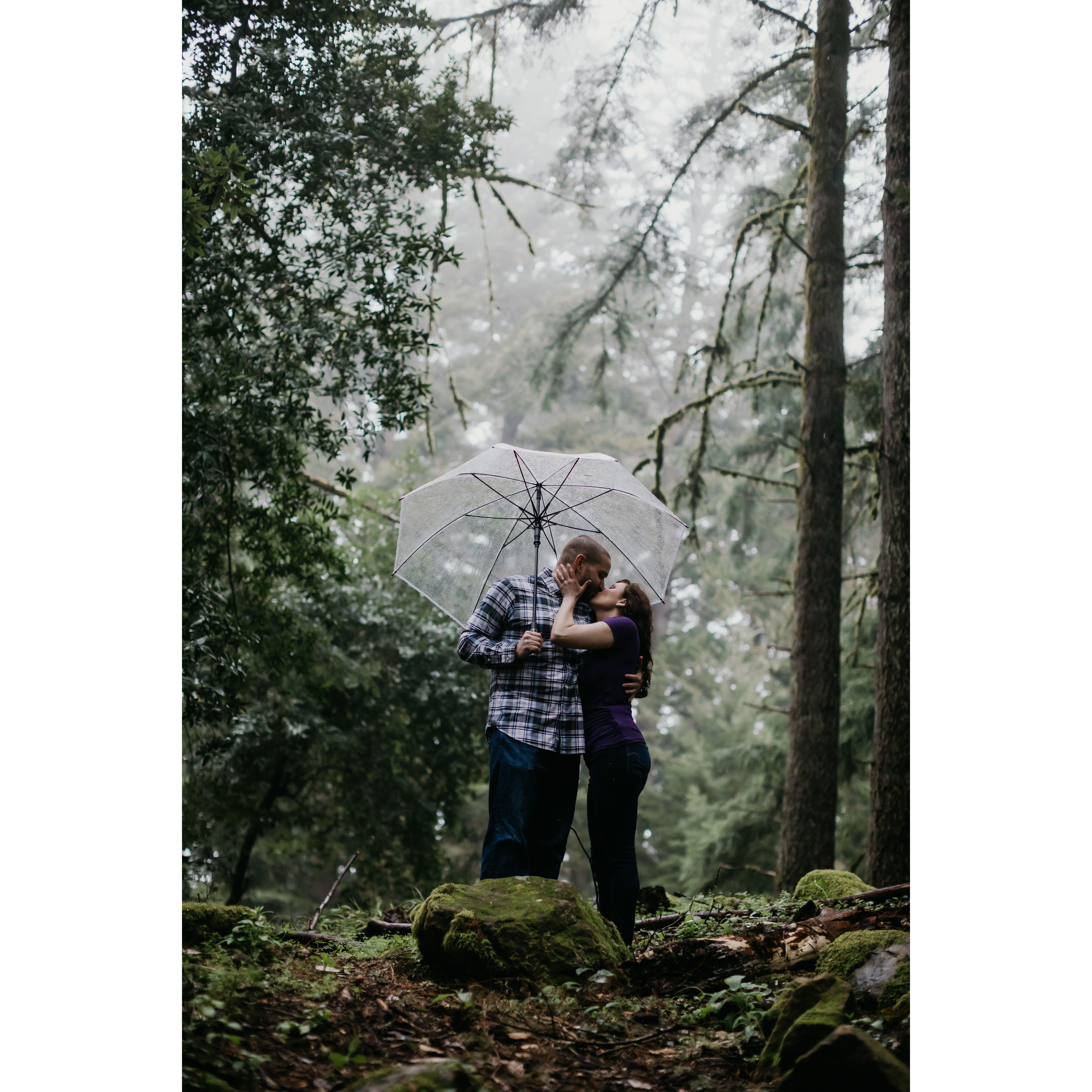 El Corta de Madera Creek Preserve. Woodside, California March 2021
Photo Credit: Danielle Alysse Photography