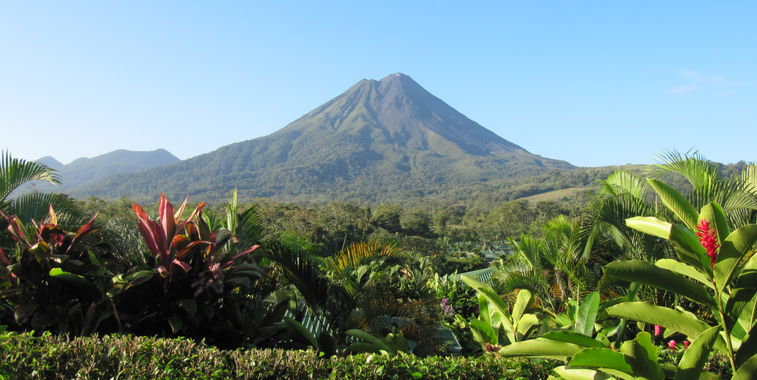 The Wedding Website of Alondra Moz-Roman and Fernando Morales